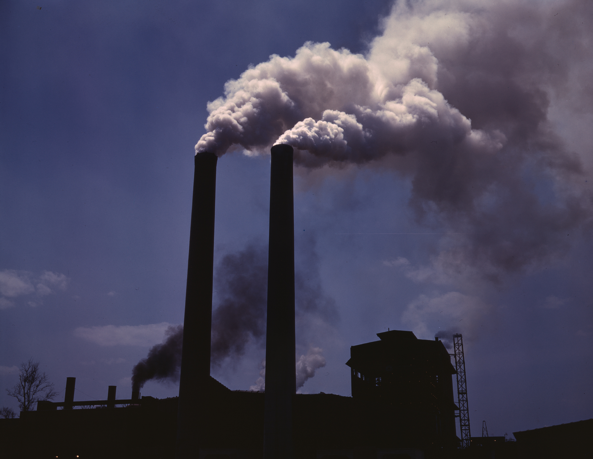 Contaminación
